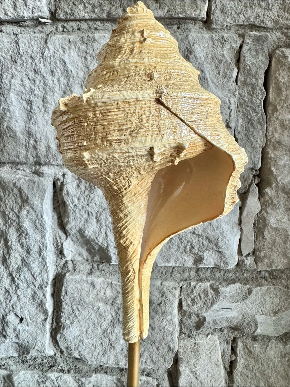 New Resin Conch Shell Seashell Beach Nautical Cottage Style Decor Figure - 16”